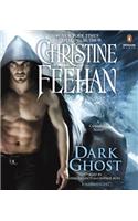 Dark Ghost: (26 Carpathian Novels)