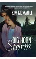Big Horn Storm