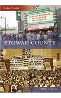 Etowah County