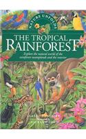 Nature Unfolds the Tropical Rainforest