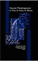 Vascular Morphogenesis: In Vivo, in Vitro, in Mente
