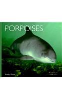 Porpoises