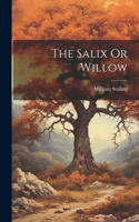 Salix Or Willow