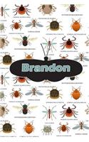 Brandon: Bug Insect Journal Notebook 120 Pages 6x9