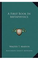 A First Book In Metaphysics