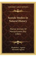 Seaside Studies In Natural History
