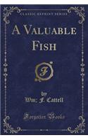 A Valuable Fish (Classic Reprint)