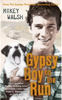 Gypsy Boy on the Run