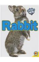 Rabbit: (Caring for My Pet)