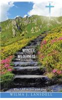 From Wilderness to Wonder