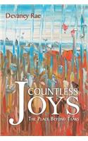 Countless Joys: The Place Beyond Tears