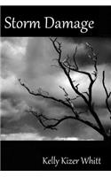 Storm Damage