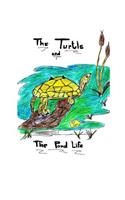 Turtle and The Pond Life