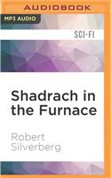 Shadrach in the Furnace