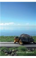 Road Turtle Workbook of Affirmations Road Turtle Workbook of Affirmations: Bullet Journal, Food Diary, Recipe Notebook, Planner, to Do List, Scrapbook, Academic Notepad: Bullet Journal, Food Diary, Recipe Notebook, Planner, to Do List, Scrapbook, Academic Notepad