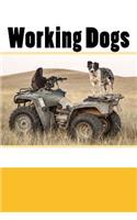 Working Dogs (Journal / Notebook)