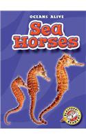 Sea Horses