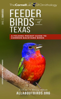 Feeder Birds of Texas