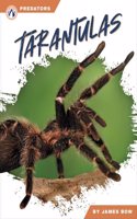 Tarantulas