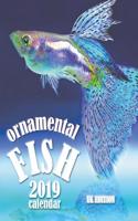 Ornamental Fish 2019 Calendar (UK Edition)