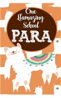 One llamazing School Para