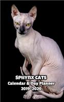 Sphynx Cats Calendar & Day Planner 2019-2020