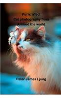 PURRRRRRFECT Cat photography