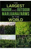 The Largest Indoor and Outdoor Marijuana Farms in the World