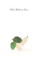 White Mulberry Notes: 6x9 Unruled Blank Notebook - Watercolor Texture Nature Fruit Illustration Cover. Matte Softcover and White Interior Papers.