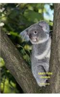 Gratitude Journal for Teens: With Over 100 Inspirational Quotes, Koala Cover Design.