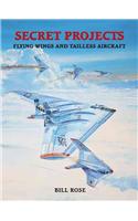 Flying Wings and Tailless Aircraft