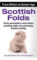 Scottish Folds: From Kitten to Senior Age