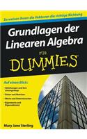 Grundlagen der Linearen Algebra fur Dummies