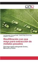 Rizofiltración con zea mays para extracción de metales pesados