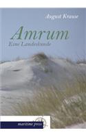 Amrum