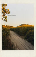 Joel Sternfeld: Oxbow Archive