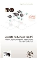 Orotate Reductase (Nadh)