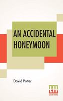 An Accidental Honeymoon