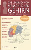 DAS LEHRBUCH VOM MENSCHLICHEN GEHIRN: KOLORIEREN / BESCHRIFTEN / BESTIMMEN / ENTHALT MEHR ALS 200 DETAILLIERTE ABBILDUNGEN