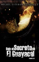Bajo el secreto de El Guayacal 3
