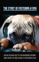 The Story Of Fostering A Dog