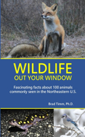Wildlife Out Your Window