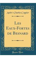 Les Eaux-Fortes de Besnard (Classic Reprint)
