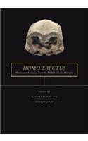 Homo erectus
