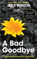 Bad Goodbye: Living Beyond the Grief of Suicide