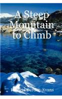 Steep Mountain to Climb