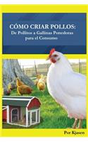 Como Criar Pollos
