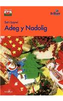Sut i Loywi Adeg y Nadolig