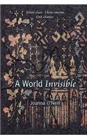 A World Invisible