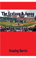 The Ecstasy & Agony of Being a Red Sox Fan